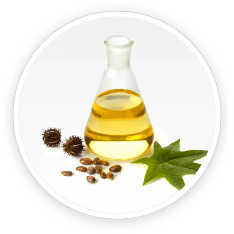 What Is Undecylenic Acid, And Why Is It In Nail Formulas?