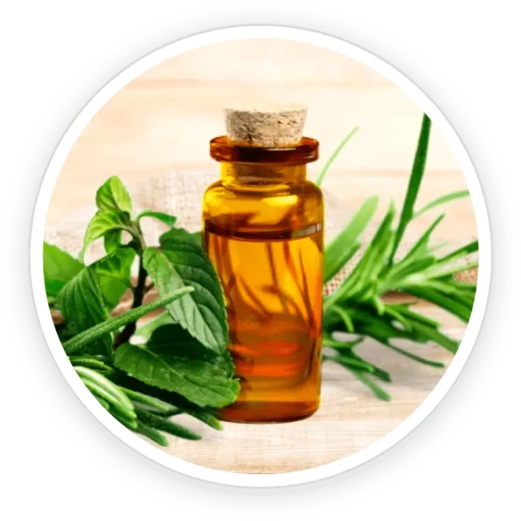 Tea Tree Oil In Topical Skin Care: An Honest Look